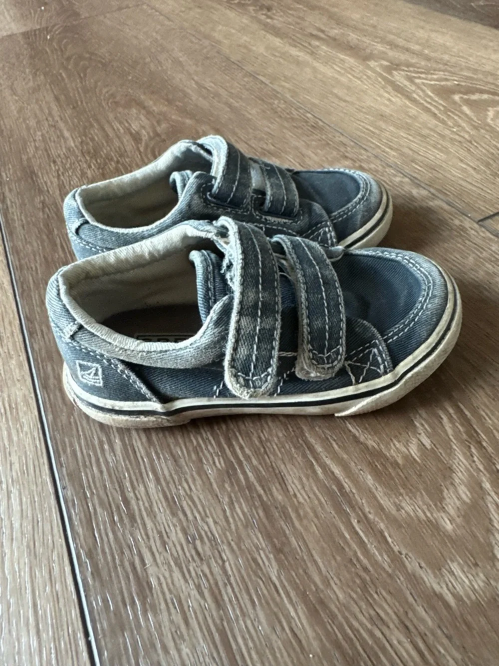 Sperry Kids Gray Canvas Hook-and-Loop Sneakers